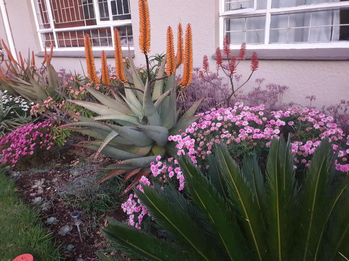 Abby Rose Holiday home Johannesburg