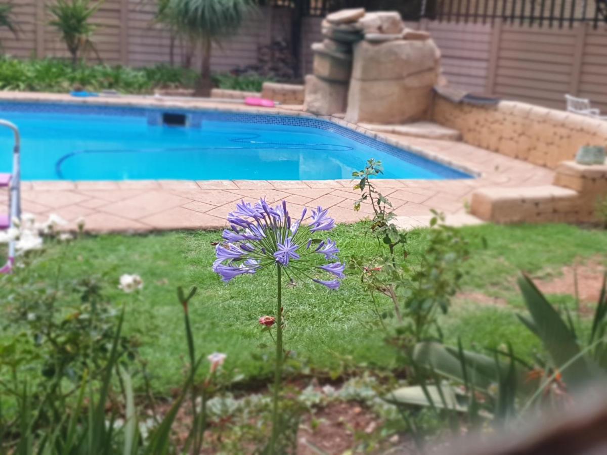 Abby Rose Johannesburg