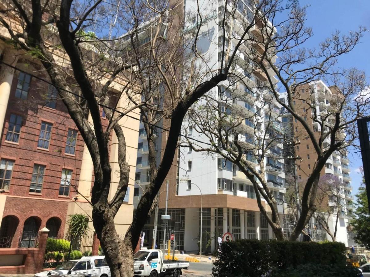 Apartment Luxury Rosebank