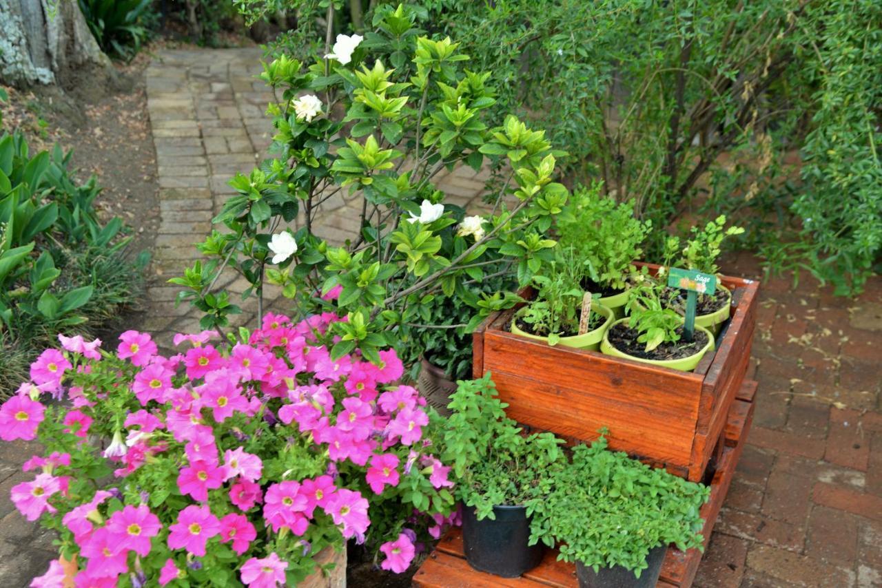 Bed & Breakfast Rivonia Premier 4*