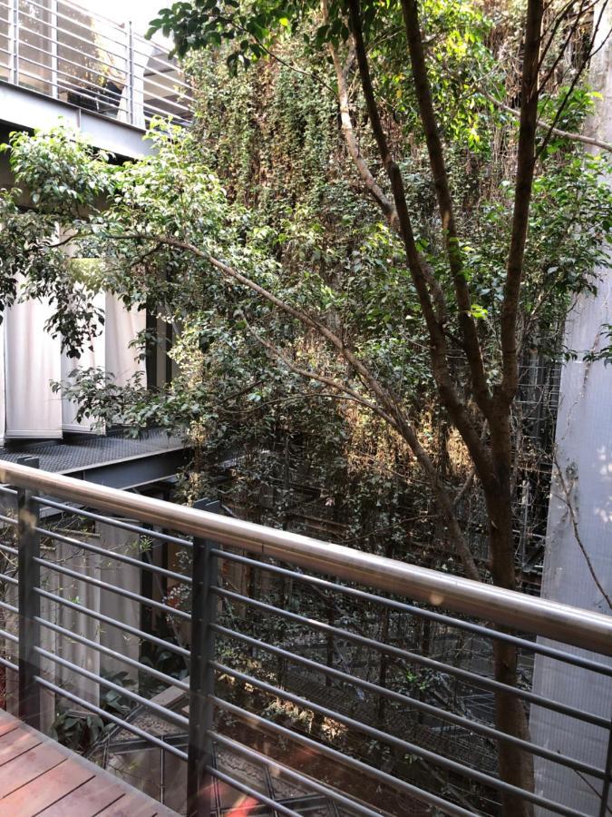 The Raphael Penthouse Bed & Breakfast Johannesburg