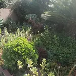 Ferndale Guest House And Party Venue