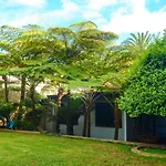 Hidden Retreat In Kensington