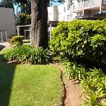 Madison Palms West