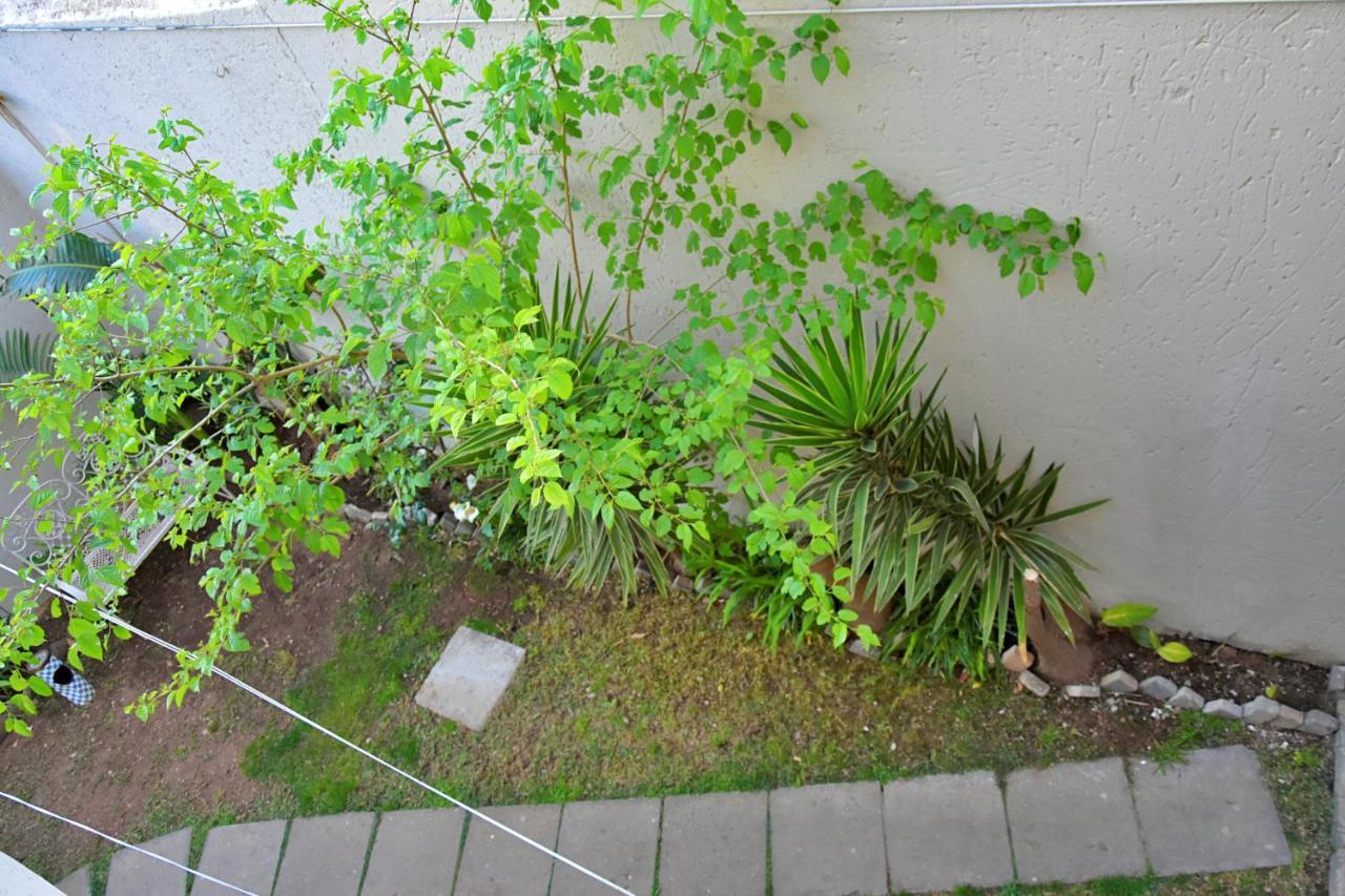 Houghton Guest house Johannesburg