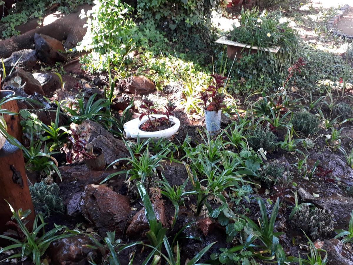 Acomodação com café da manhã  Upper Houghton Joanesburgo