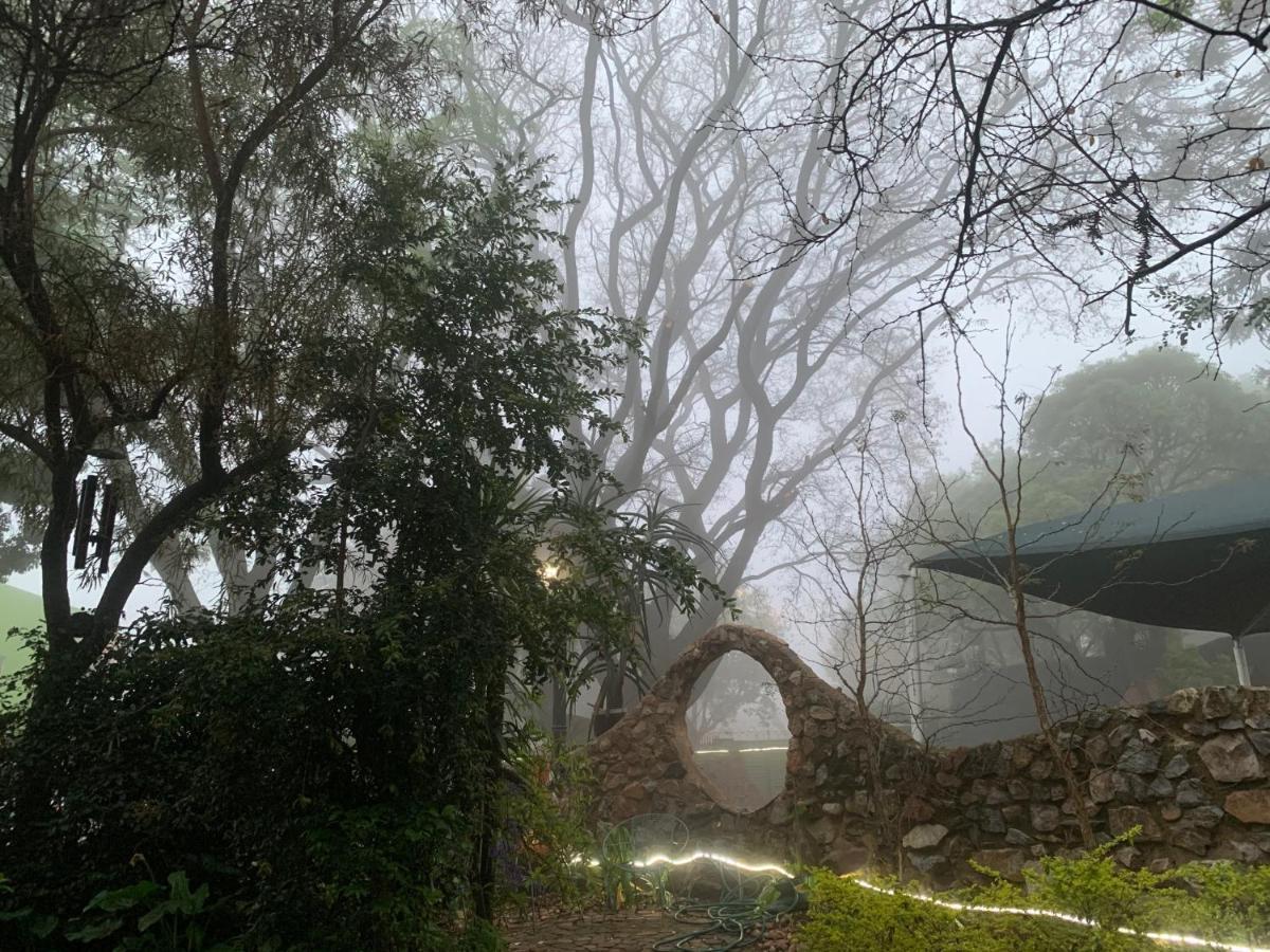 Rabbit Hole 3* Johannesburg