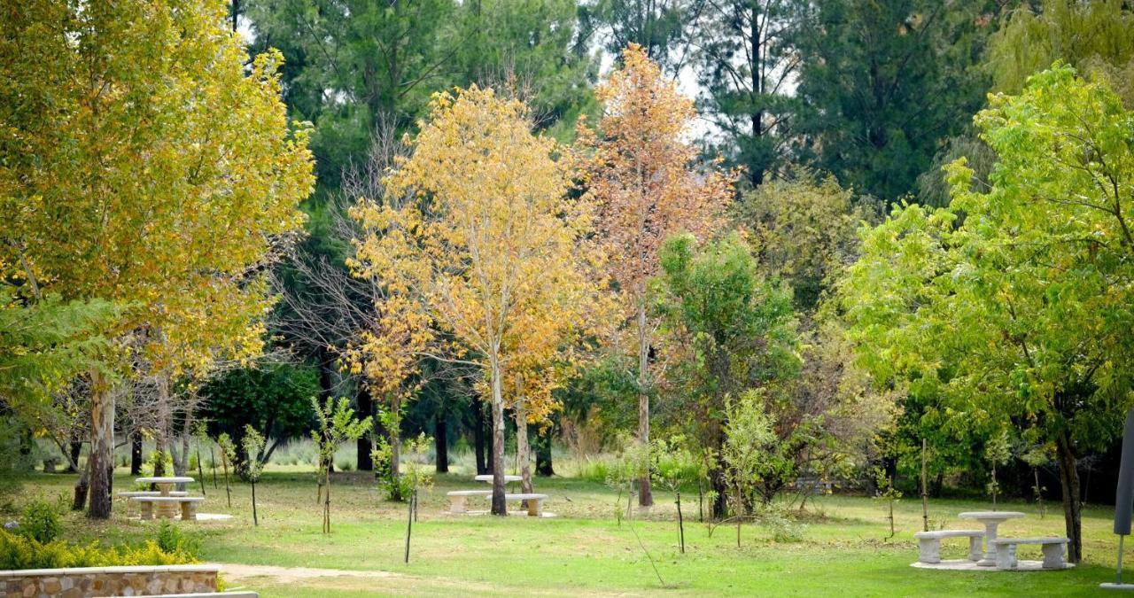 Hotel Toadbury Hall Country Johannesburg