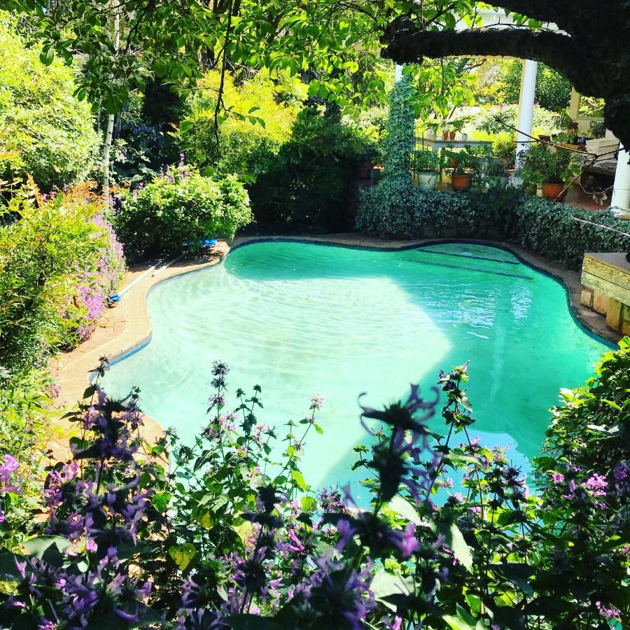 Remote Corner Bed & Breakfast Johannesburg
