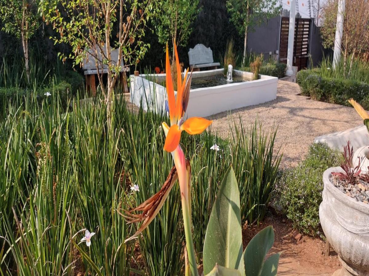 The Dauphin House * Johannesburg