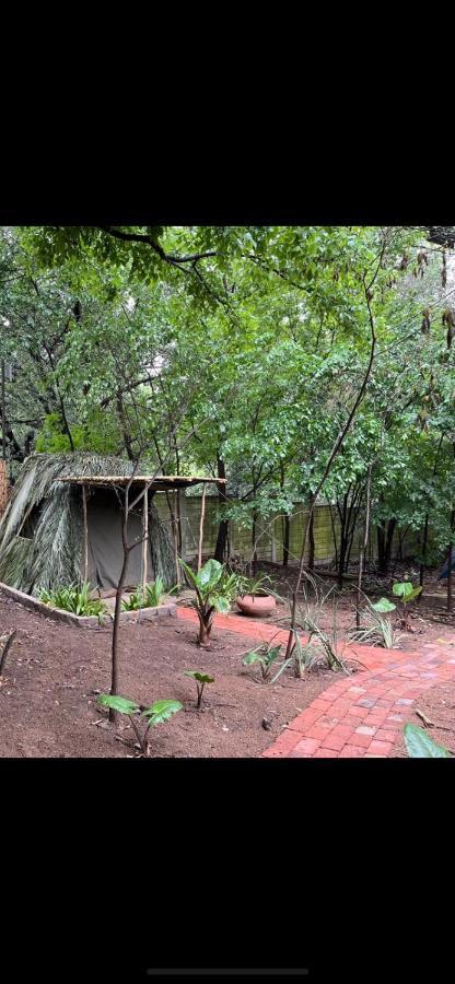 Luxury tent Sandton Safari Camp