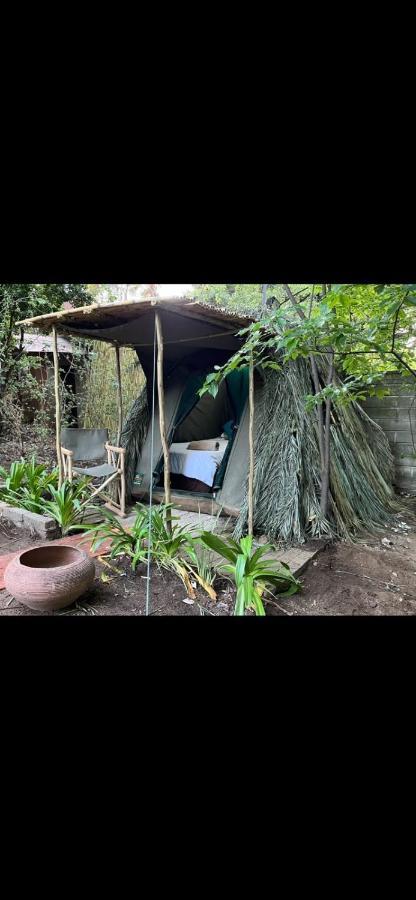 Sandton Safari Camp Johannesburg