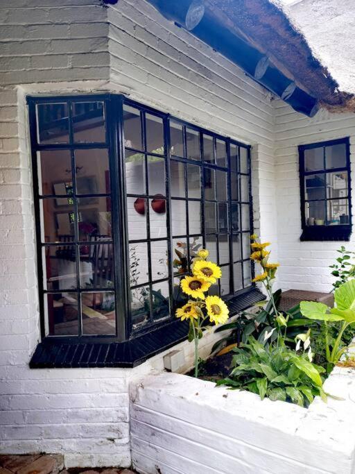 Apartamento The Juweel House *
