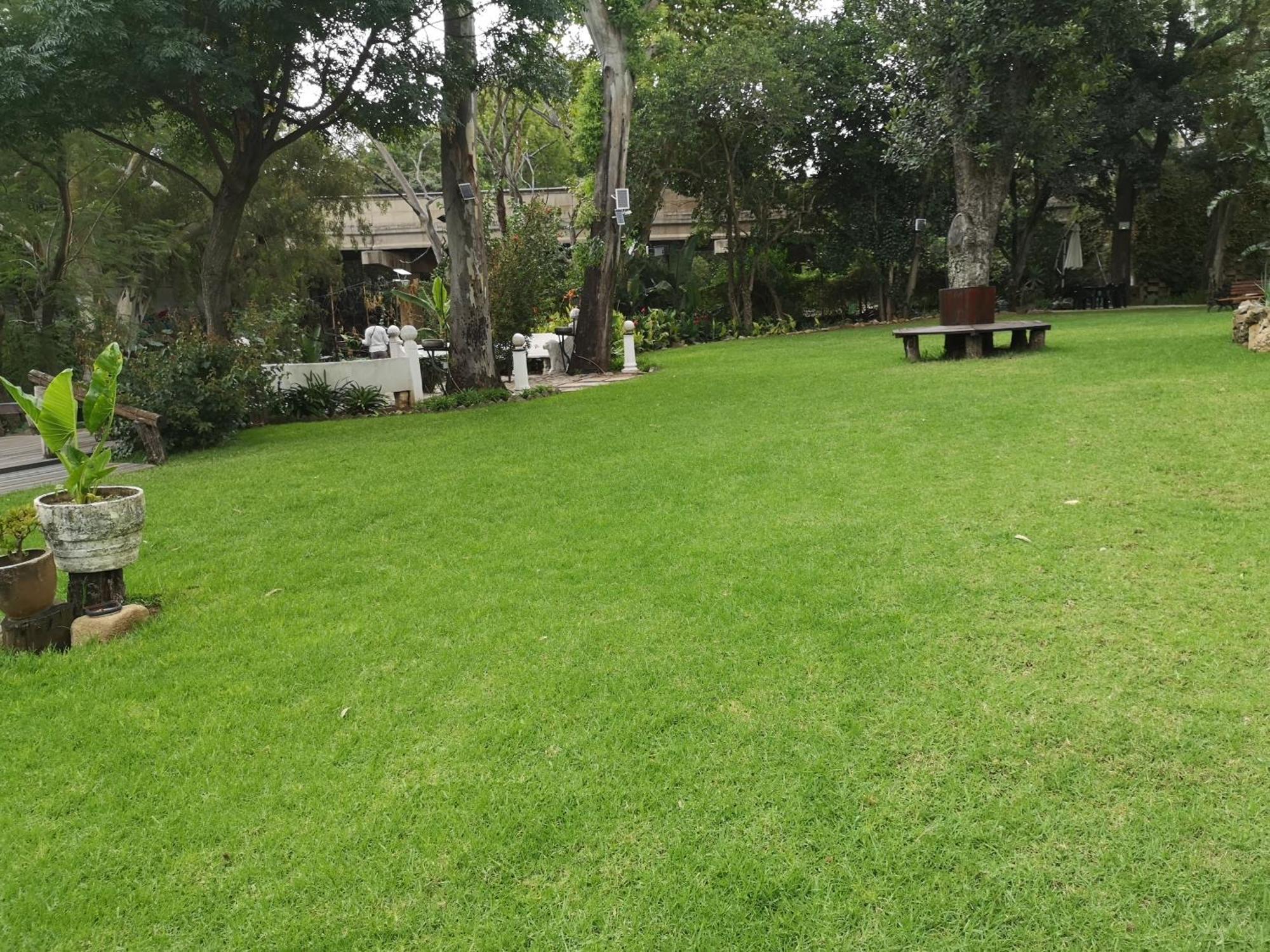 Lotus Guest house