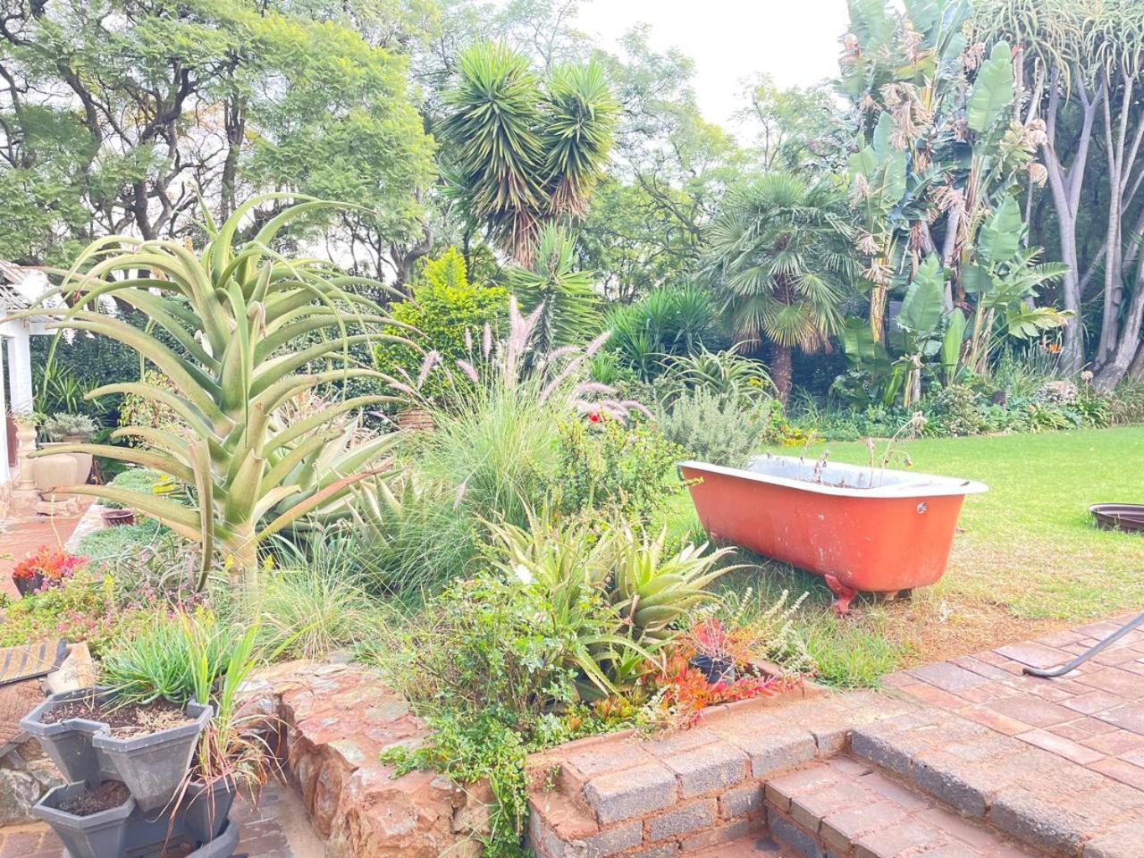 Regenerate2health Johannesburg