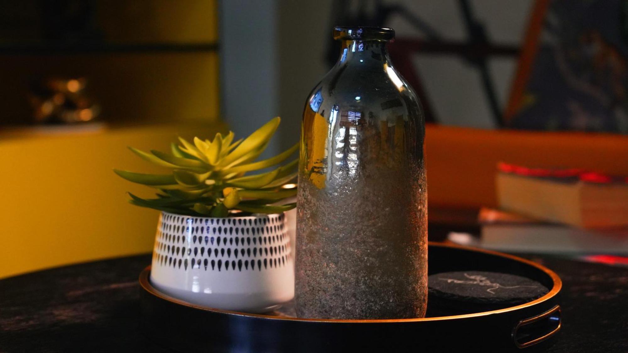 Apartment Earthy And Organic Johannesburg