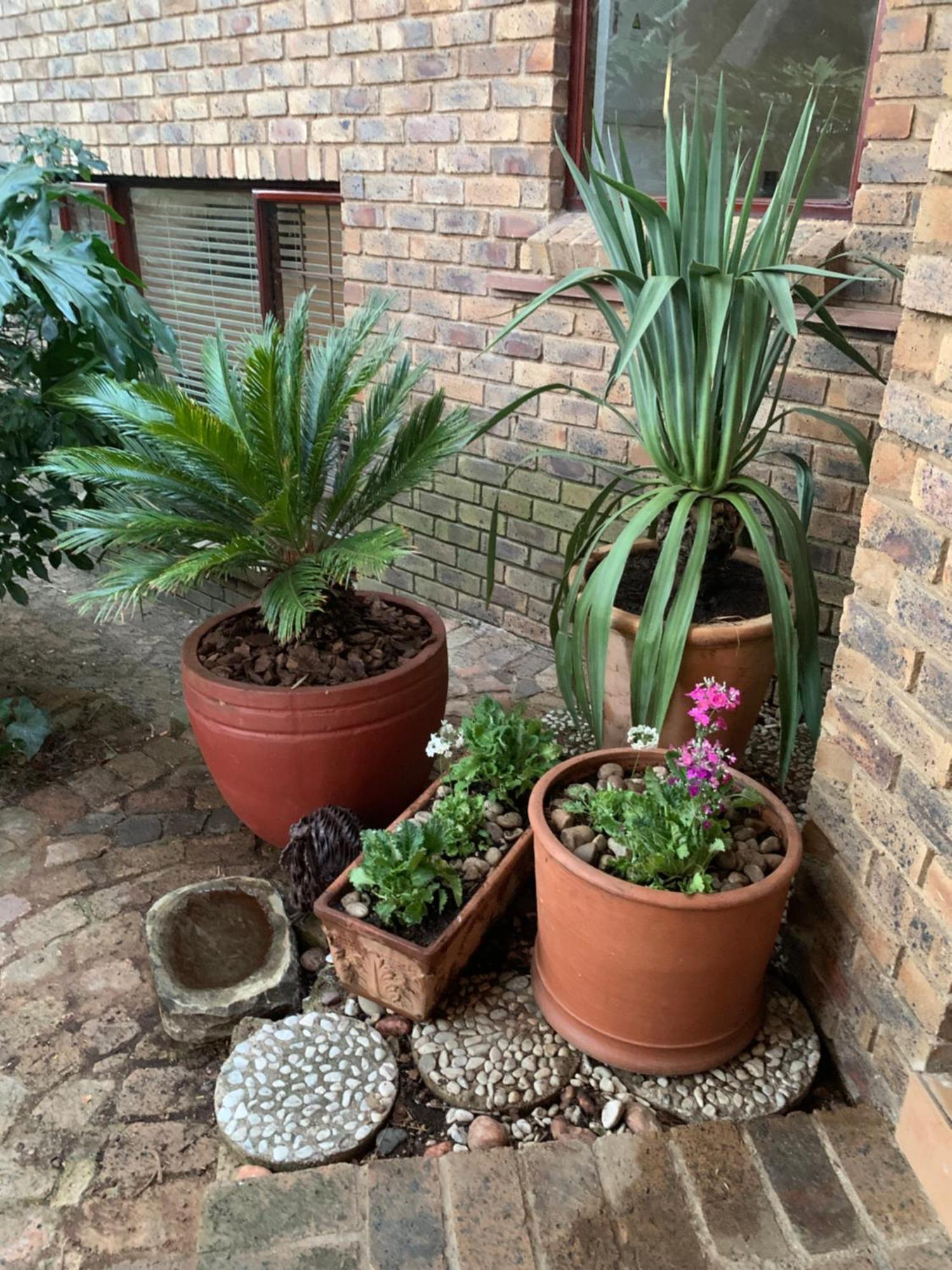 Bed & Breakfast Shepherd Johannesburg