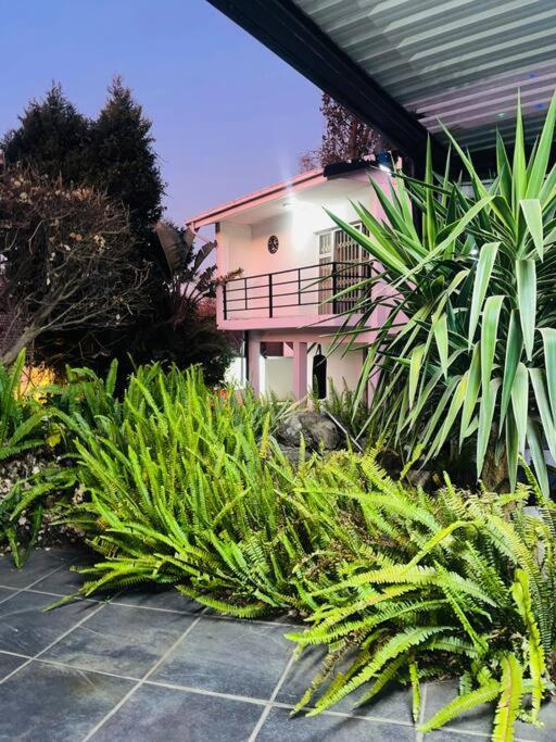 Mondeor Holiday home *