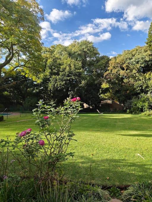 Blessed Luxury Into Nature In Sandton In Sandton Ferienhaus Johannesburg
