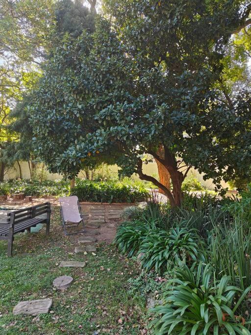 Blessed Luxury Into Nature In Sandton In Sandton Johannesburg