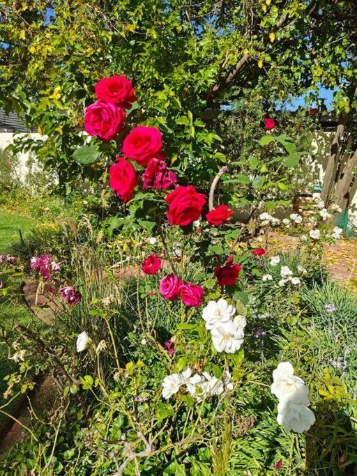 Blessed Luxury Into Nature In Sandton In Sandton Holiday home