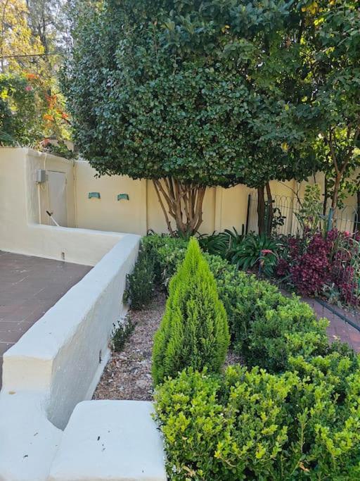 Blessed Luxury Into Nature In Sandton In Sandton