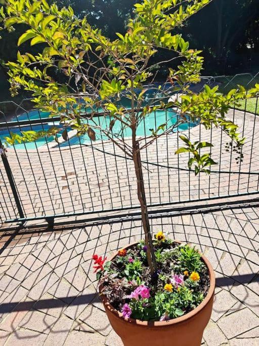 Blessed Luxury Into Nature In Sandton In Sandton Holiday home *