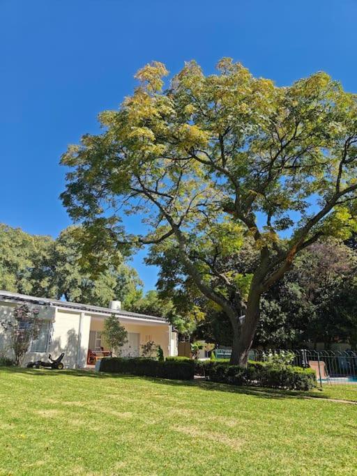 Blessed Luxury Into Nature In Sandton In Sandton