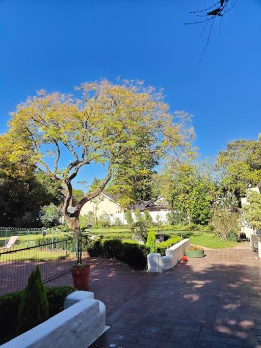 Blessed Luxury Into Nature In Sandton In Sandton Johannesburg