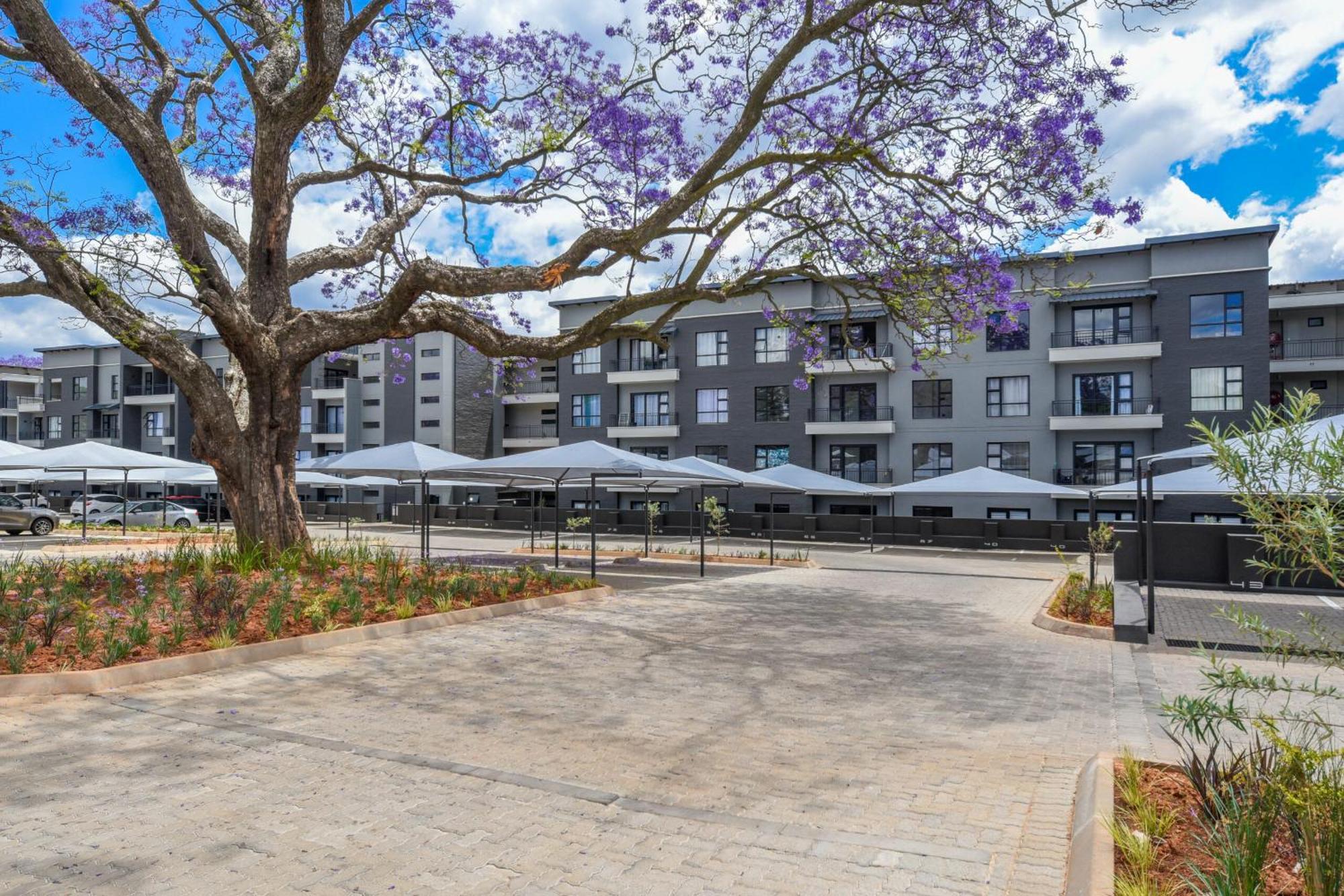 Mediterranean Oasis - Near Rosebank * Johannesburg