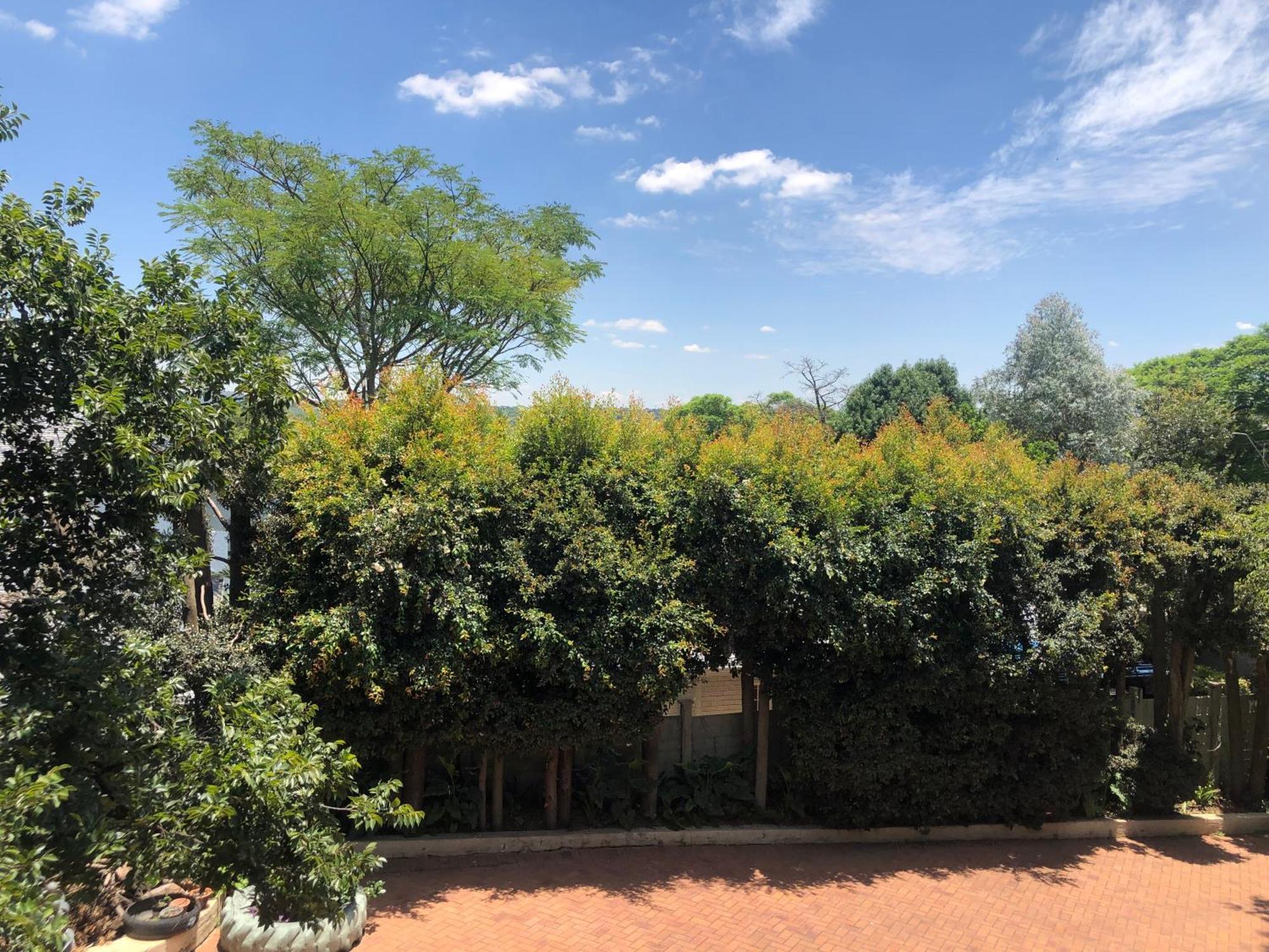Guest house Grace On Argyle, Executive In Sandton Johannesburg