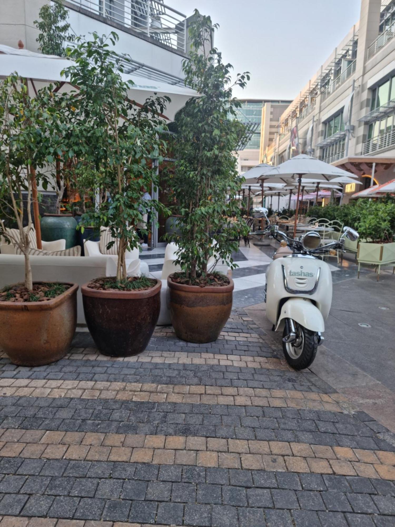 Gh Rosebank