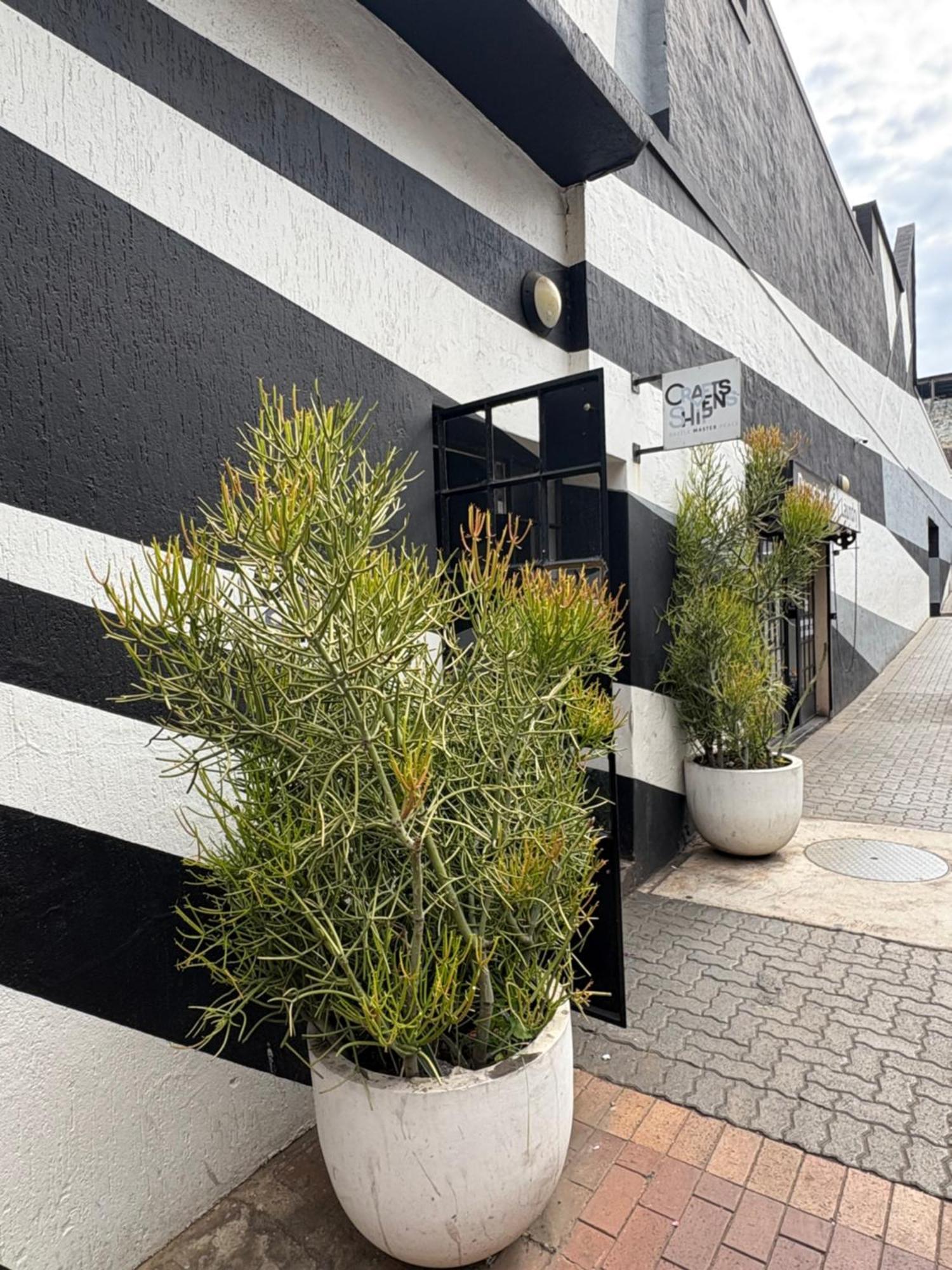 Guest house Minimalistic Craft Maboneng