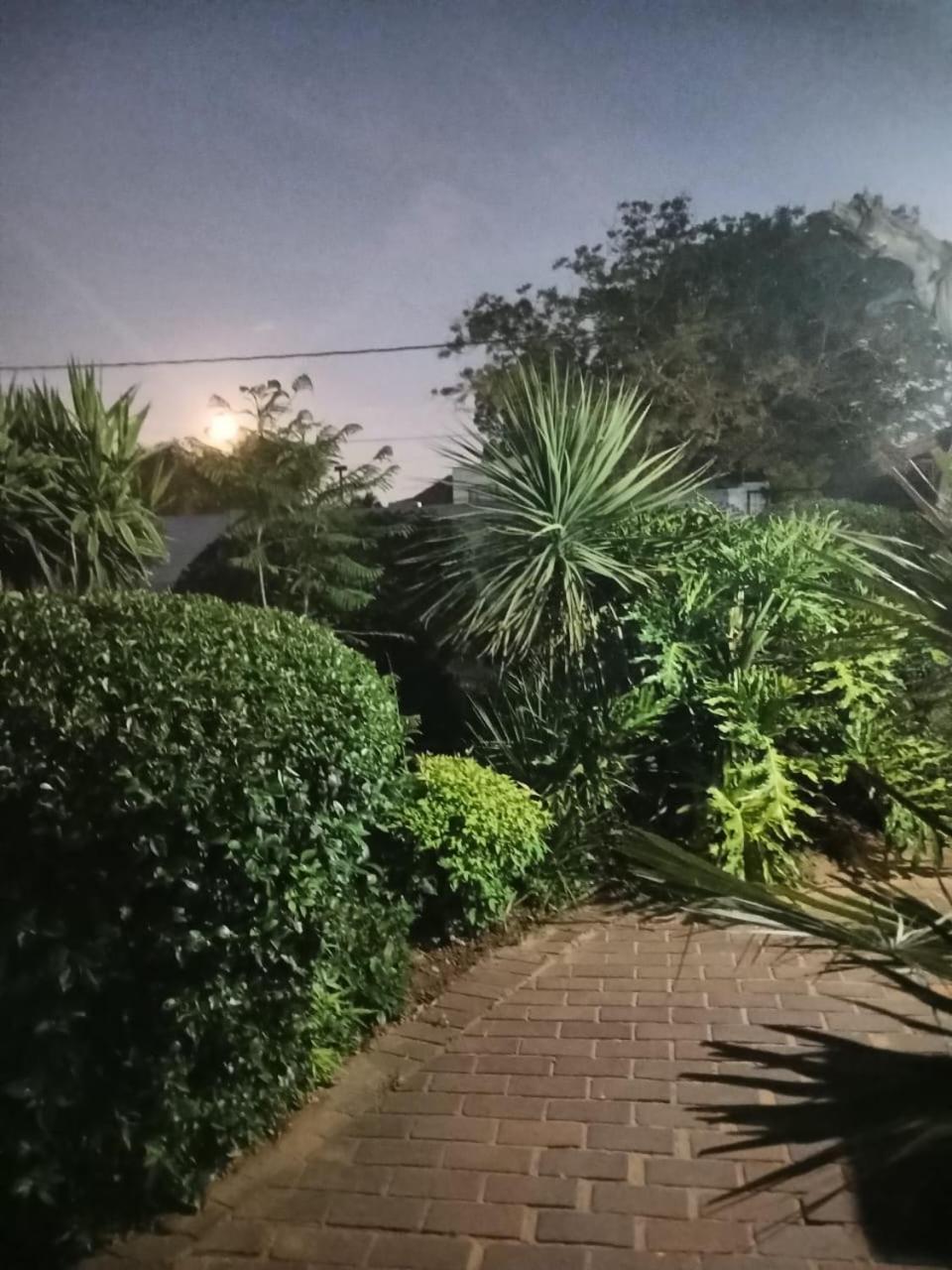 Coty And Reuben's Johannesburg