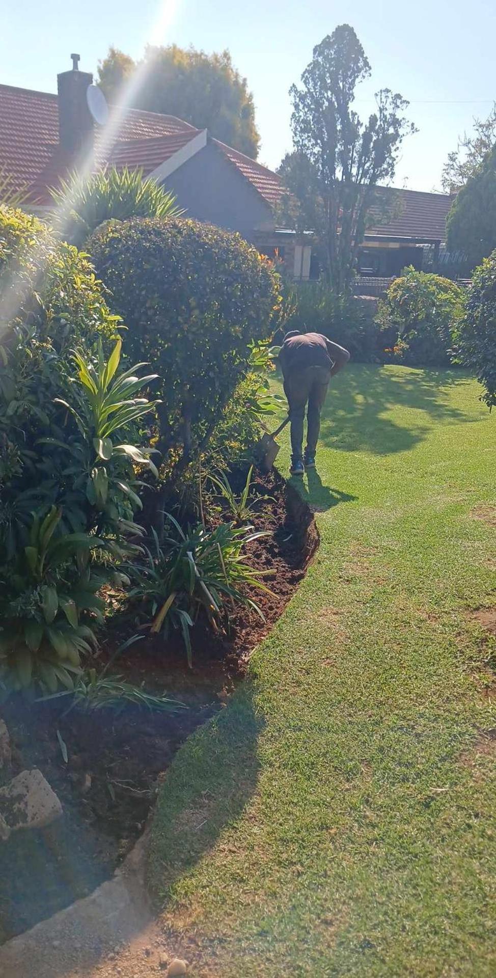 Coty And Reuben's Bed & Breakfast Johannesburg