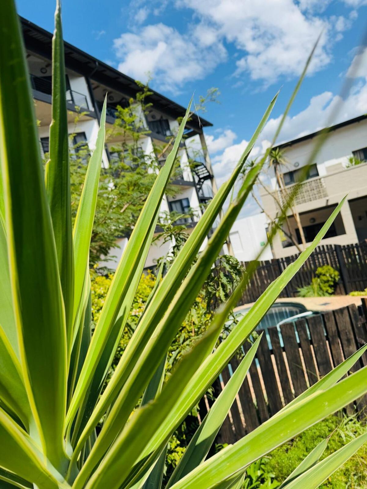 The Nook At Maboneng -24hr Security, Wifi, Cozy Apartment