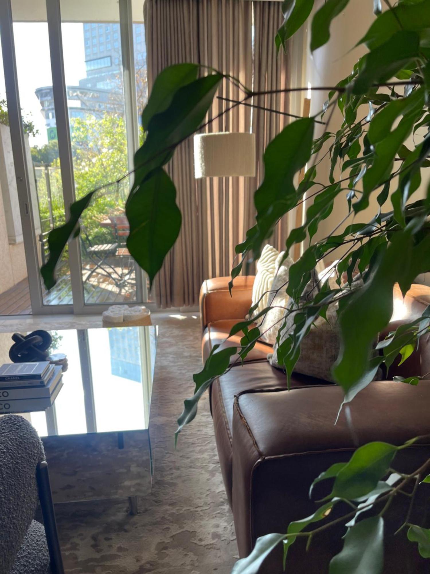 Apartment Bachelor In The Heart Of Sandton *