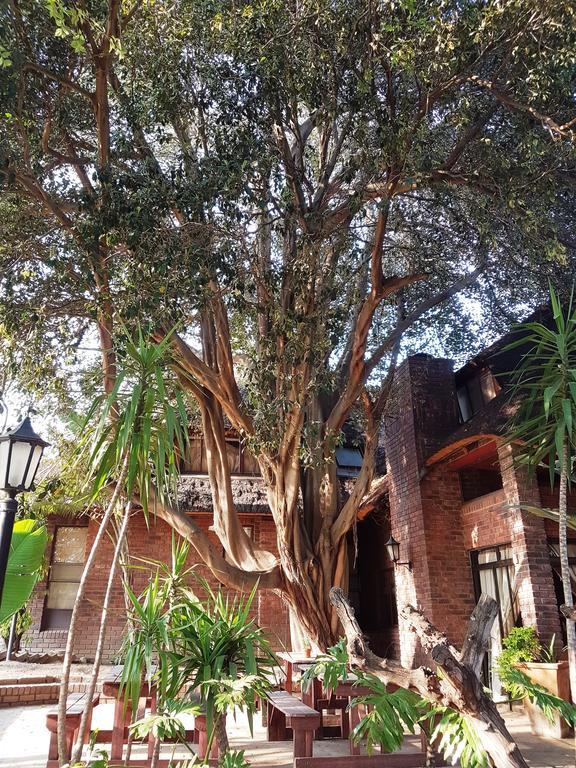 Guest house Idube Estate