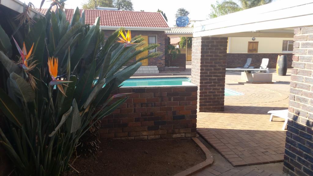 African Phoenix Guest