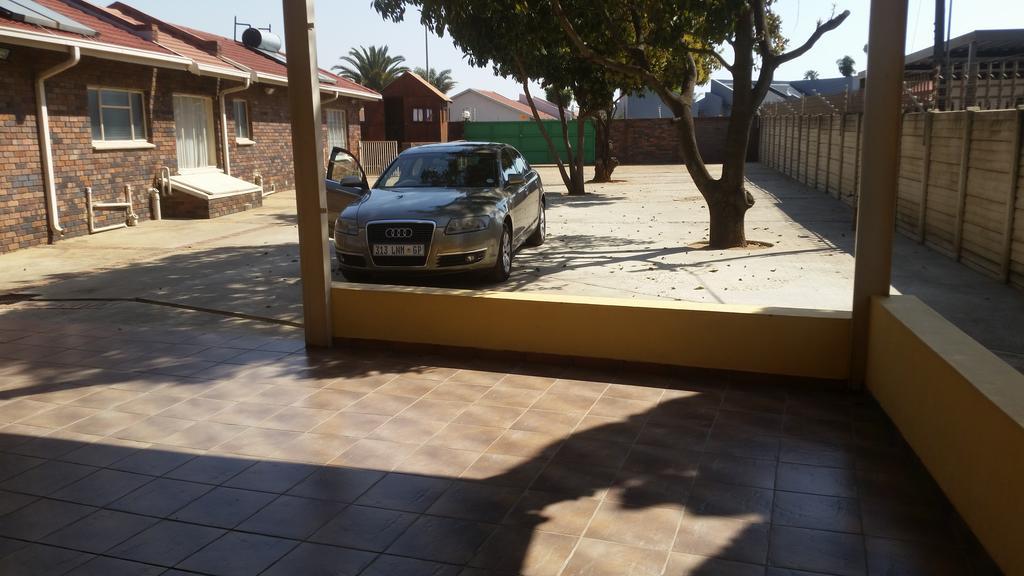 African Phoenix Guest * Johannesburg