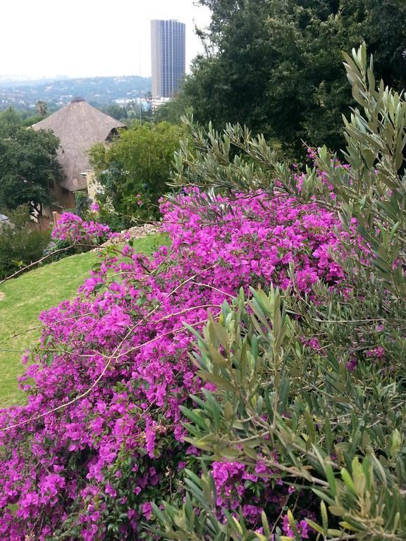 Guest house Zietsies Johannesburg