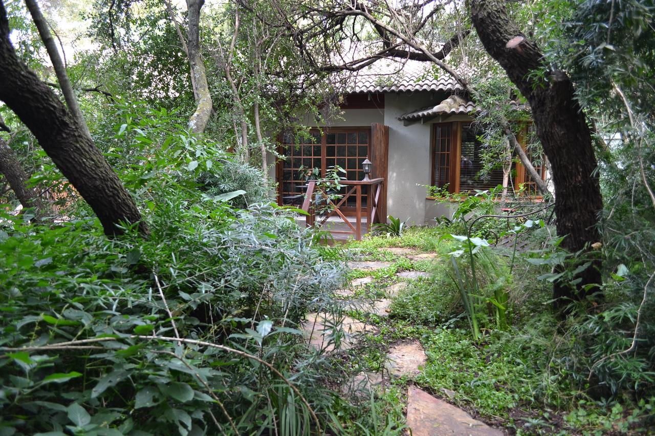 Lydall Wild Tranquil Garden Johannesburg