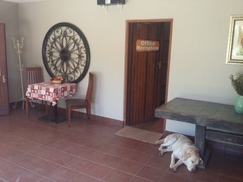 Lodge La Vue Guesthouse Johannesburg