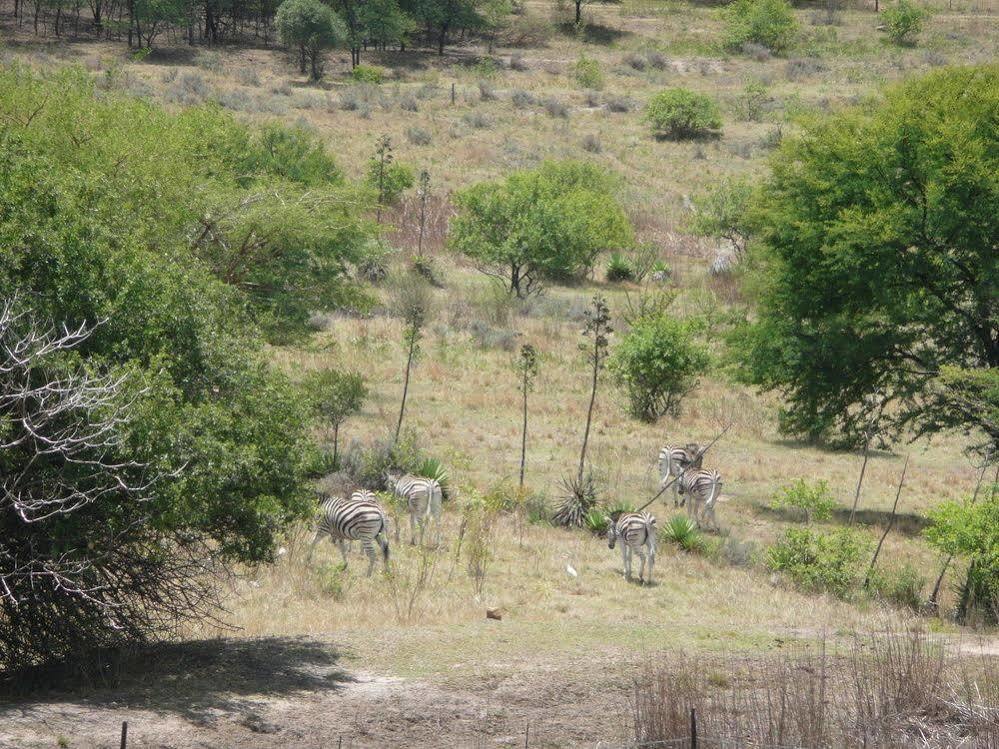 Guest house Idube Estate 3*