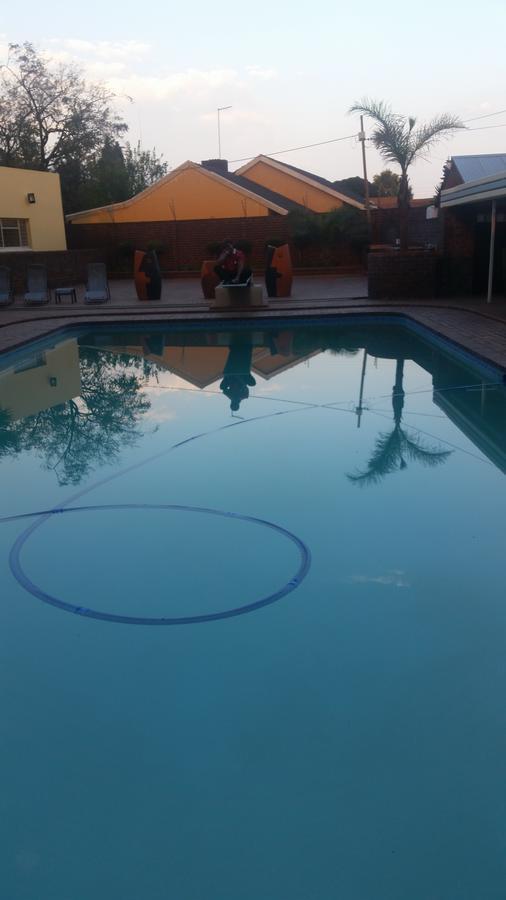 African Phoenix Guest * Johannesburg
