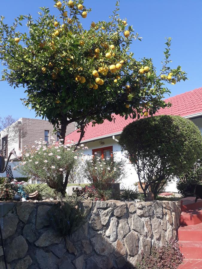 Bed & Breakfast Mizizi House Of Sandton Johannesburg