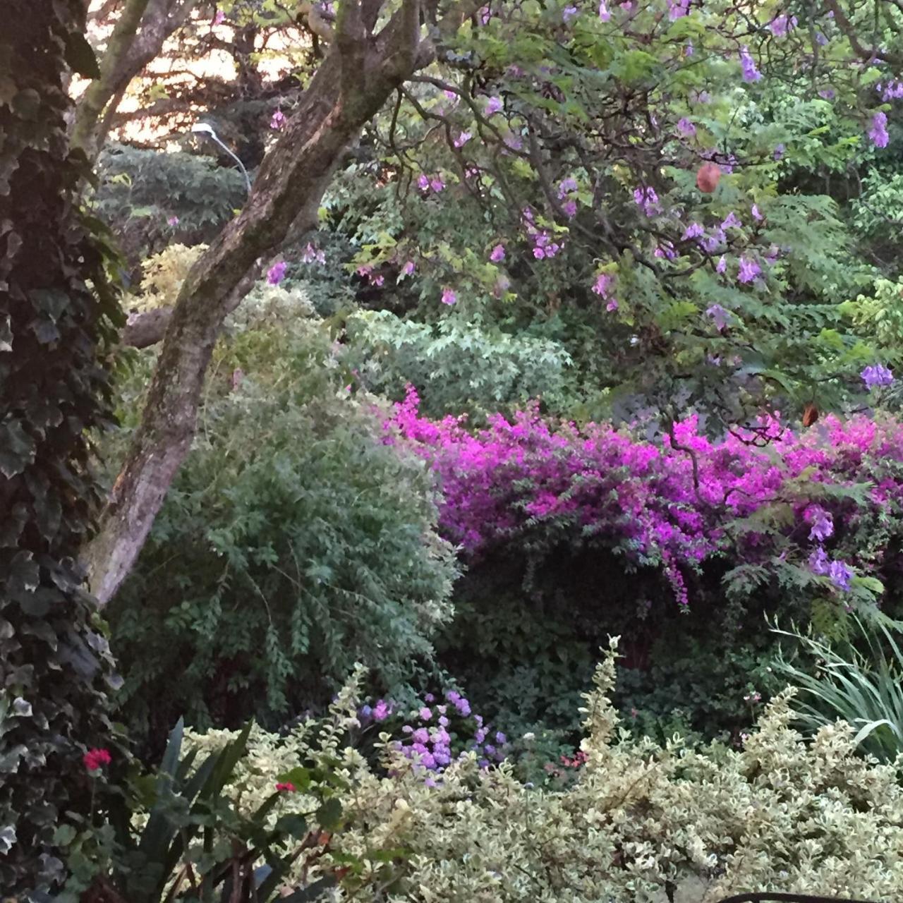 Remote Corner Bed & Breakfast Johannesburg