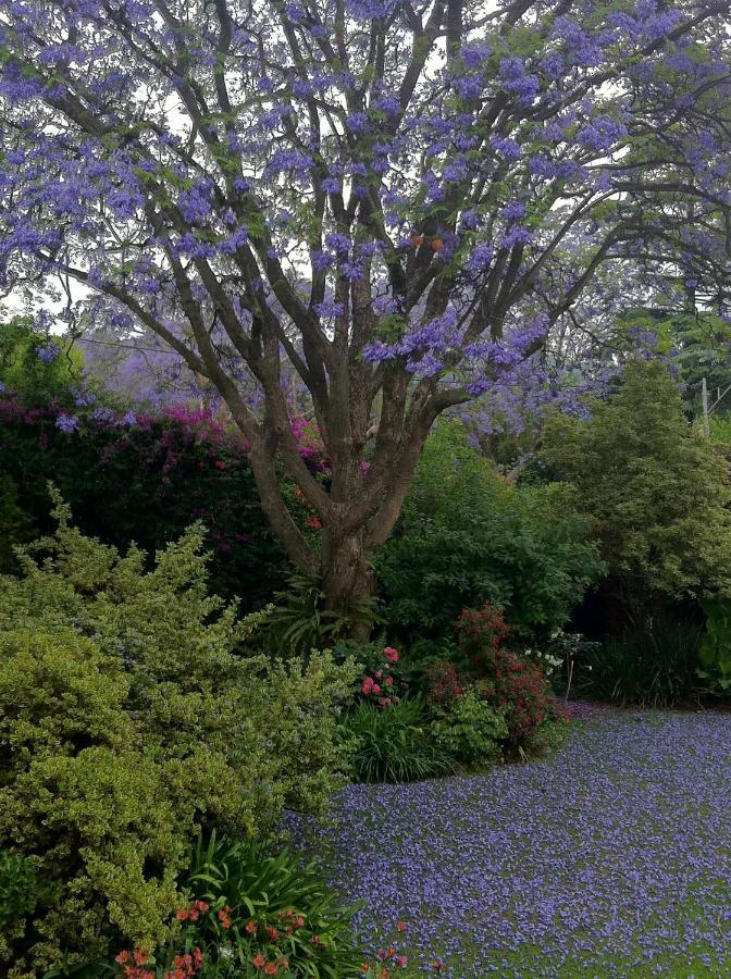 Bed & Breakfast Remote Corner Johannesburg