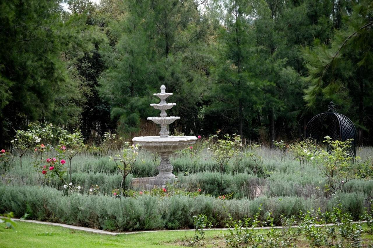 Toadbury Hall Country Johannesburg